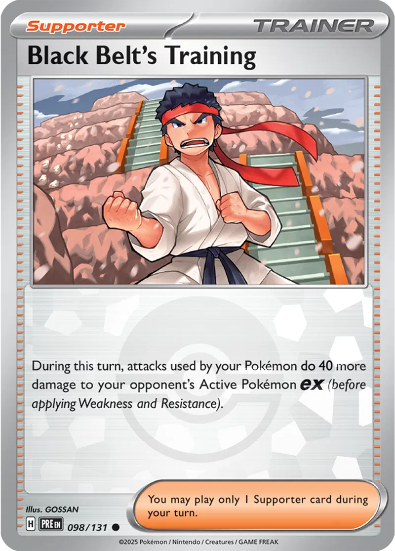 Black Belt's Training Poke ball Holo